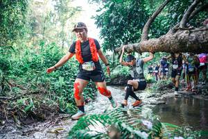 BIB: 
                            <button type="button" onclick="openModal(25448809)" class="btn btn-primary btn-sm float-right btn-popup" data-toggle="modal" data-target=".modal-high-quality">
                        <i class="fas fa-shopping-cart"></i> Add to Cart
                    </button>
                                            <button type="button" onclick="isThisMe(25448809, true)" class="btn btn-success btn-sm float-right btn-popup btn-isme hidden" data-toggle="tooltip" data-placement="bottom" title="นี่คือรูปของคุณใช่ไหม คลิกที่นี่เพื่อเอาเข้าอัลบั้ม">
                        <i class="fas fa-plus"></i> Add to album
                    </button>
                    <button type="button" onclick="isThisMe(25448809, false)" class="btn btn-warning btn-sm float-right btn-popup btn-isnotme hidden">
                        <i class="fas fa-ban"></i> Remove from album
                    </button>